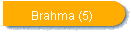 Brahma (5)