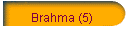 Brahma (5)