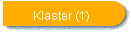Klaster (1)