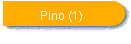 Pino (1)