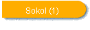 Sokol (1)