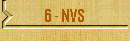 5 - NVS