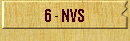 6 - NVS