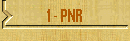 1 - PNR