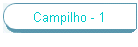 Campilho - 1