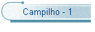 Campilho