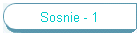 Sosnie - 1