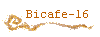 Bicafe-16