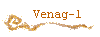 Venag-1